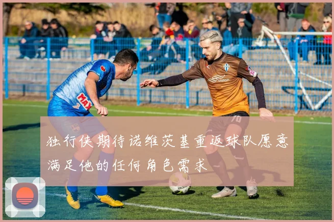 独行侠期待诺维茨基重返球队愿意满足他的任何角色需求
