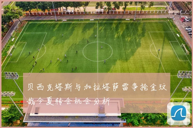 贝西克塔斯与加拉塔萨雷争抢金玟哉今夏转会机会分析